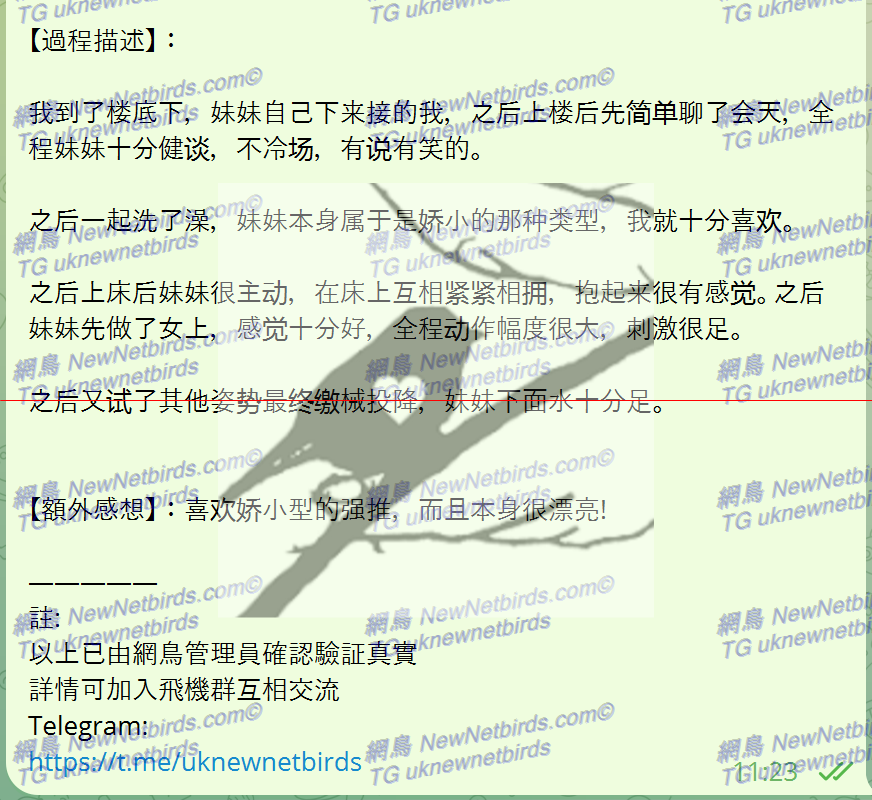 戰號 296 2.png